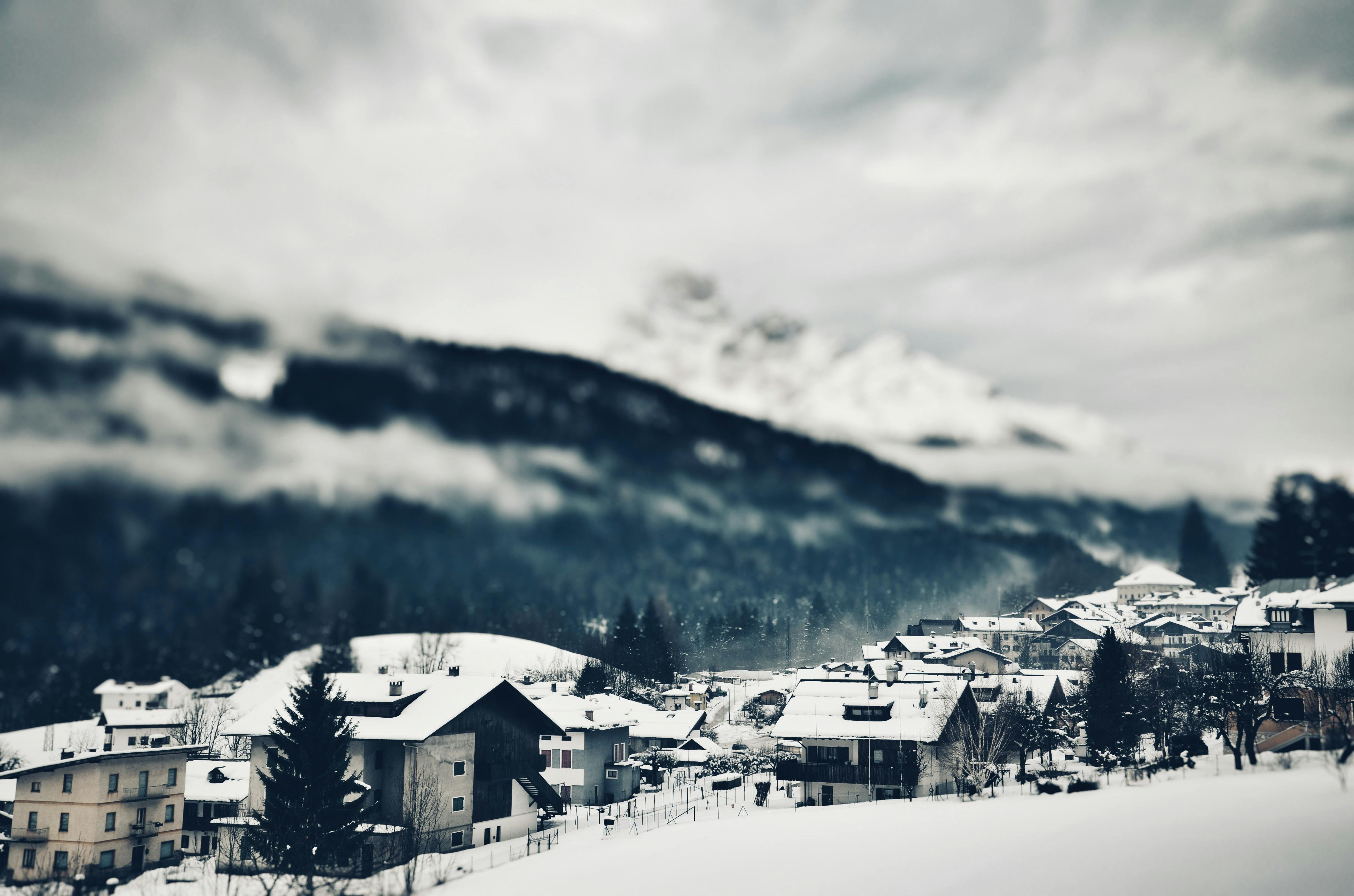 Auli Tour