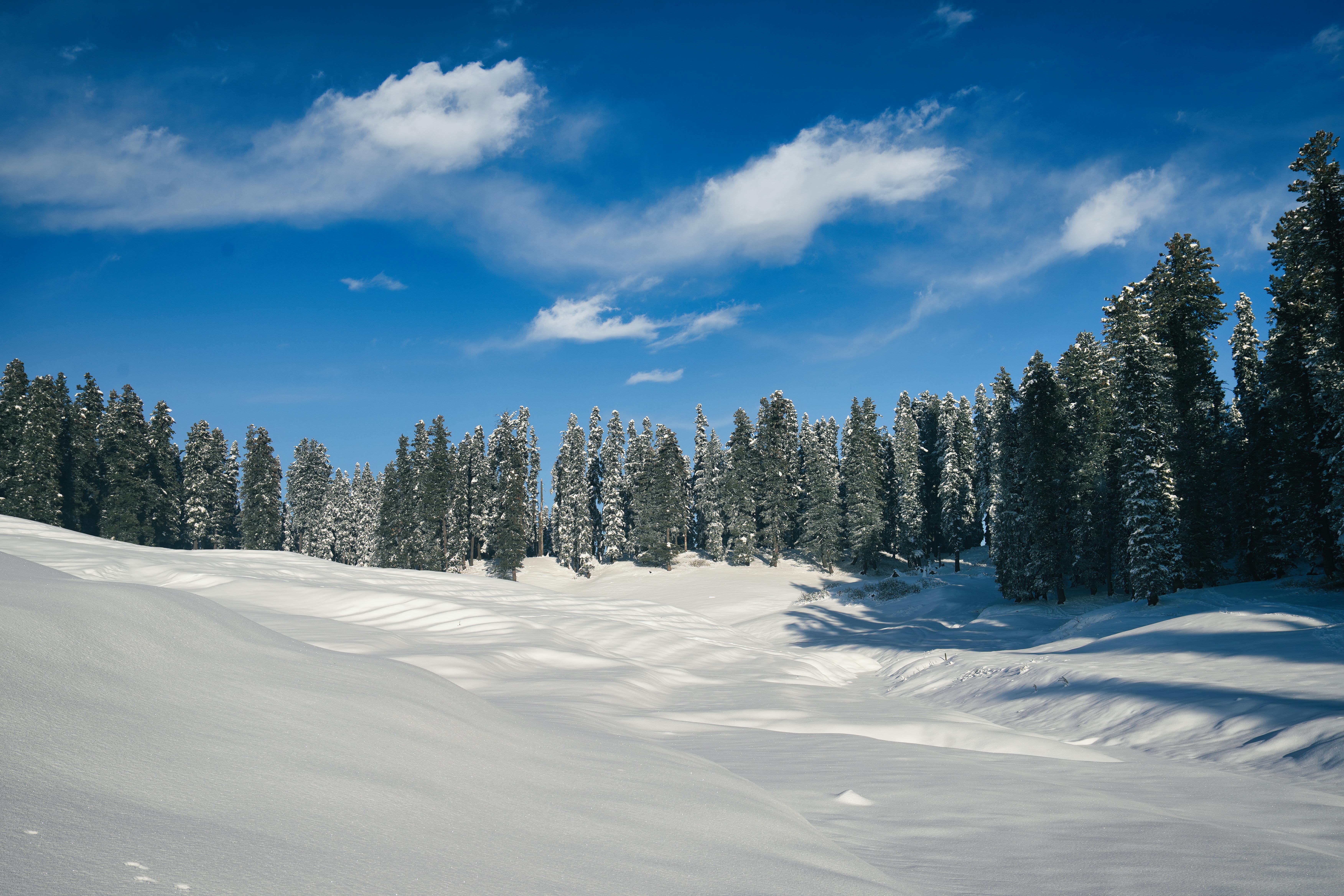 Gulmarg Tour