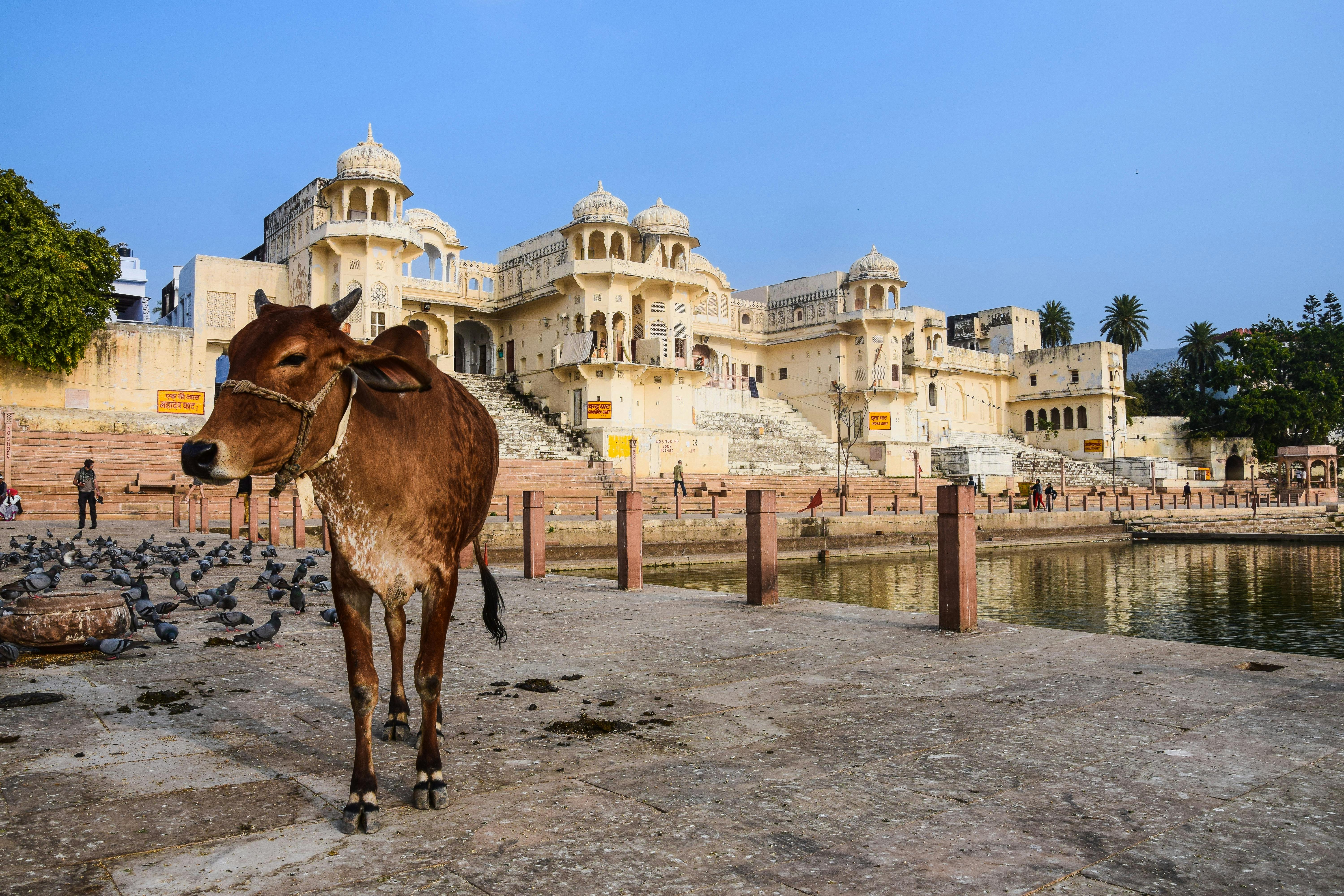 Jaisalmer Tour