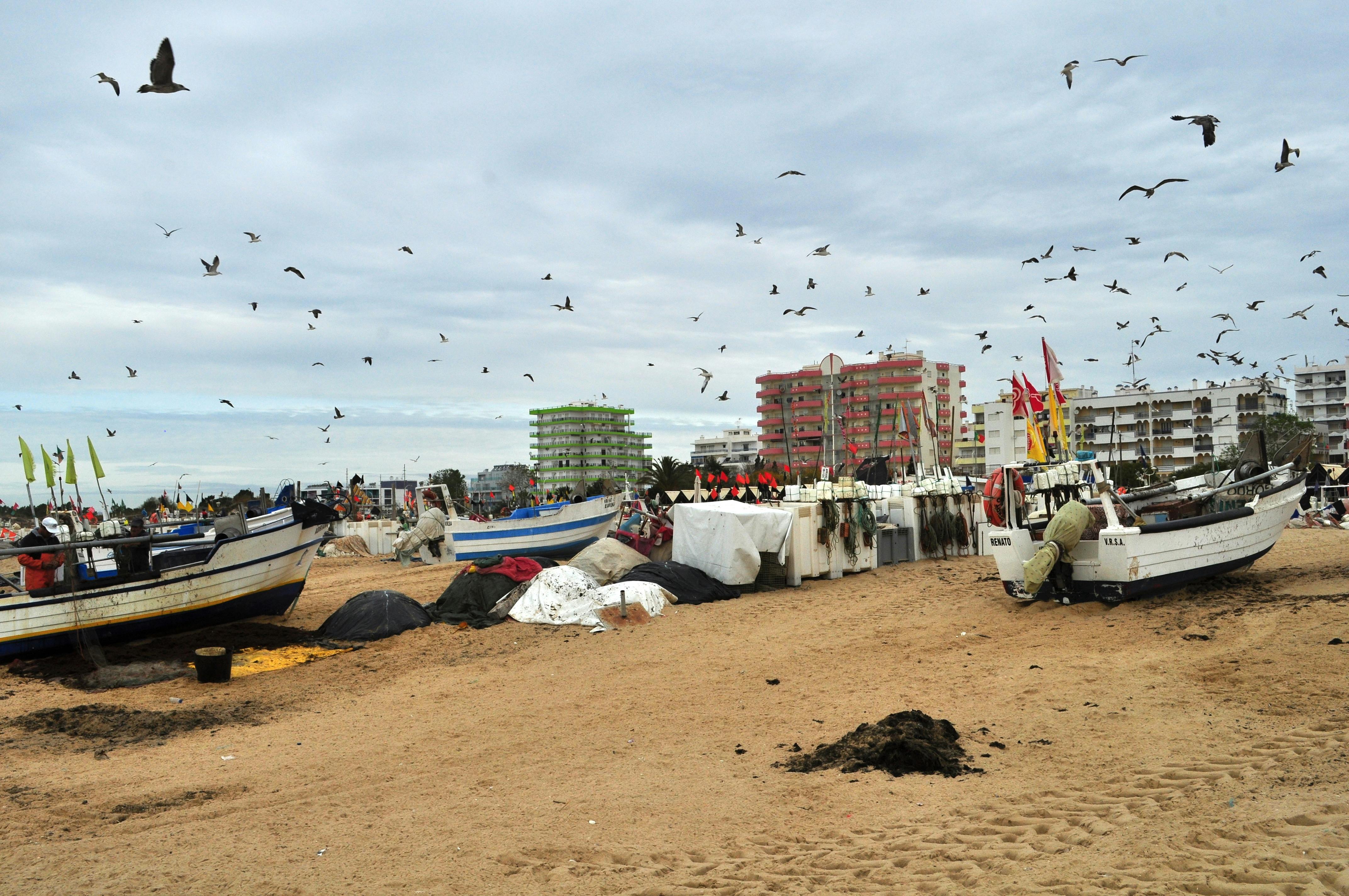 Kochi Tour