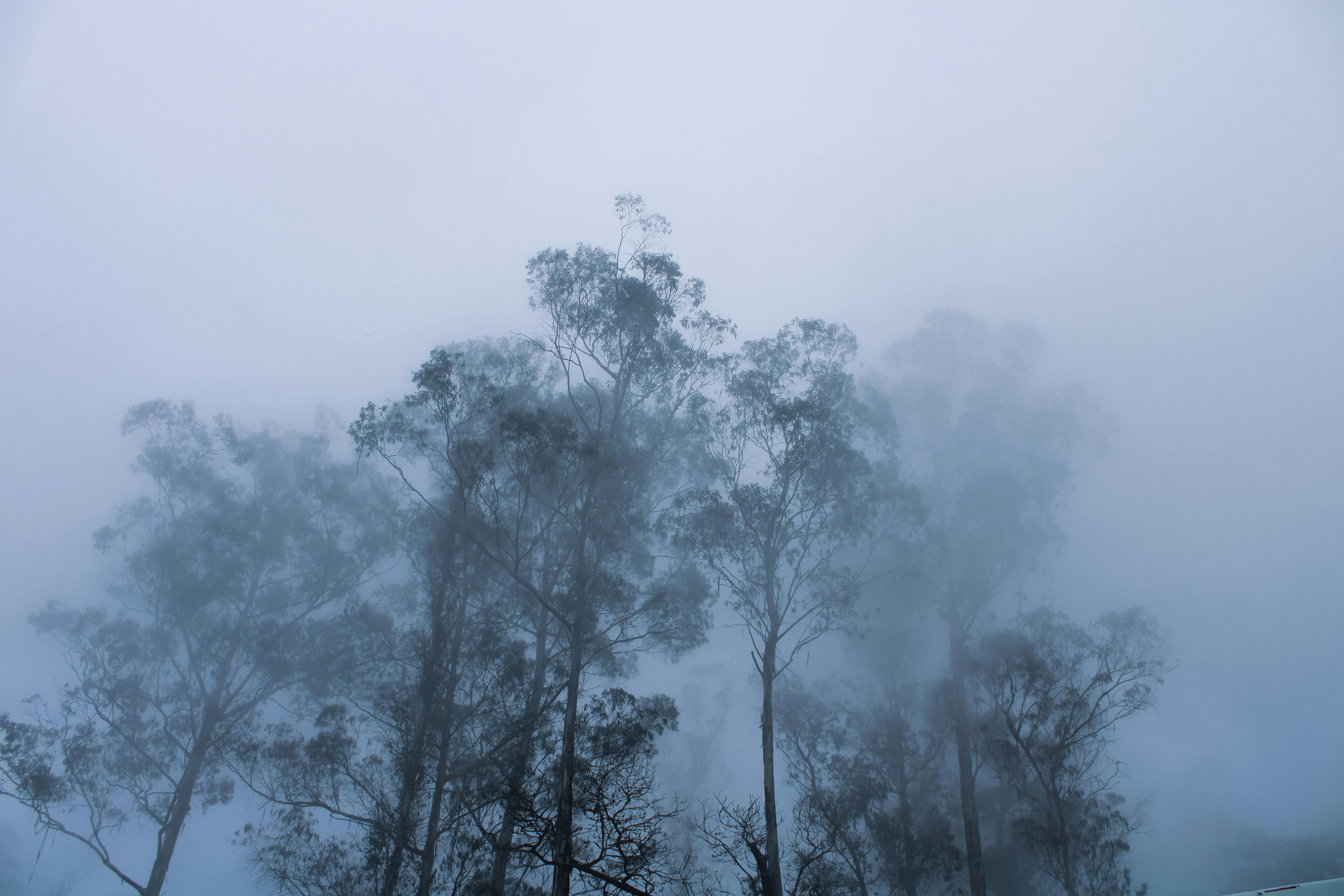 Kodaikanal Tour