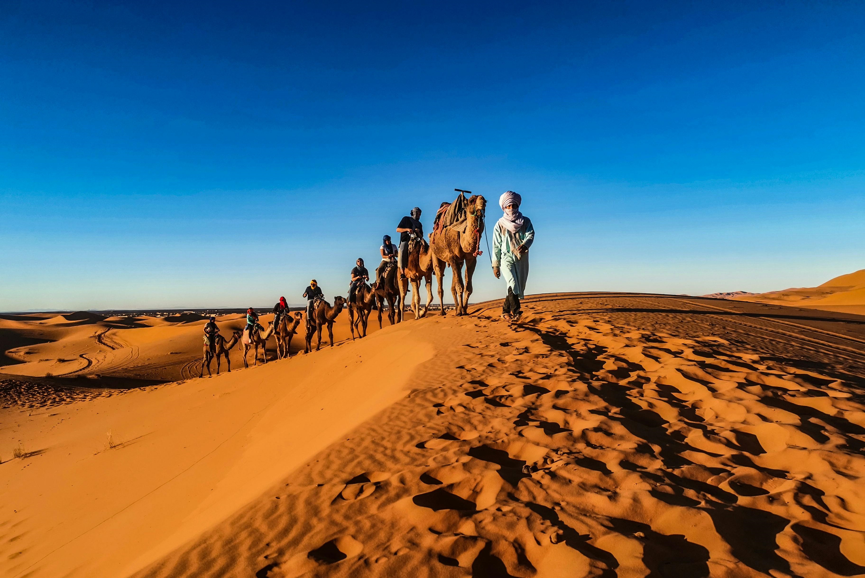 Rann of Kutch Tour