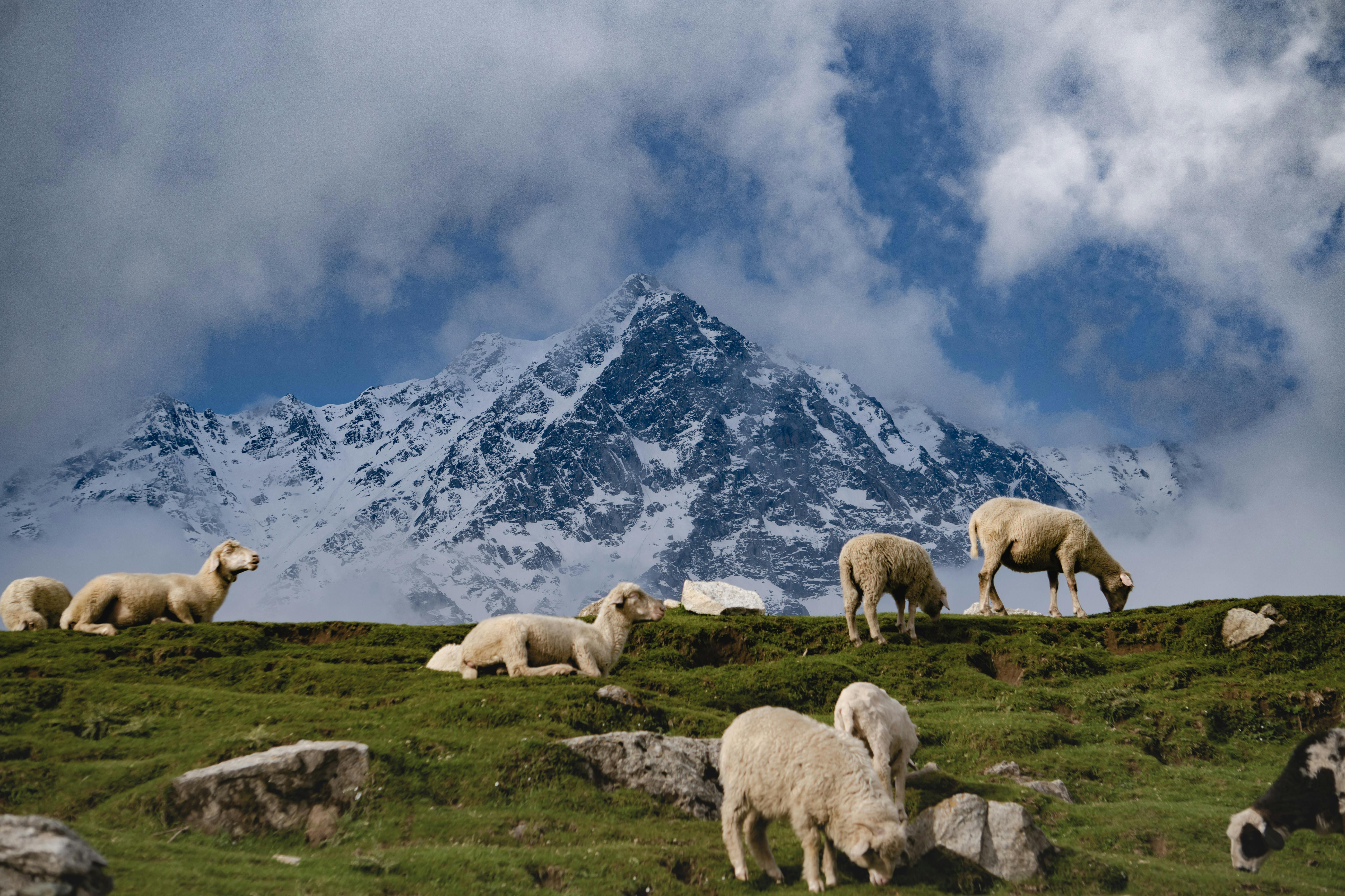 Lahaul Tour