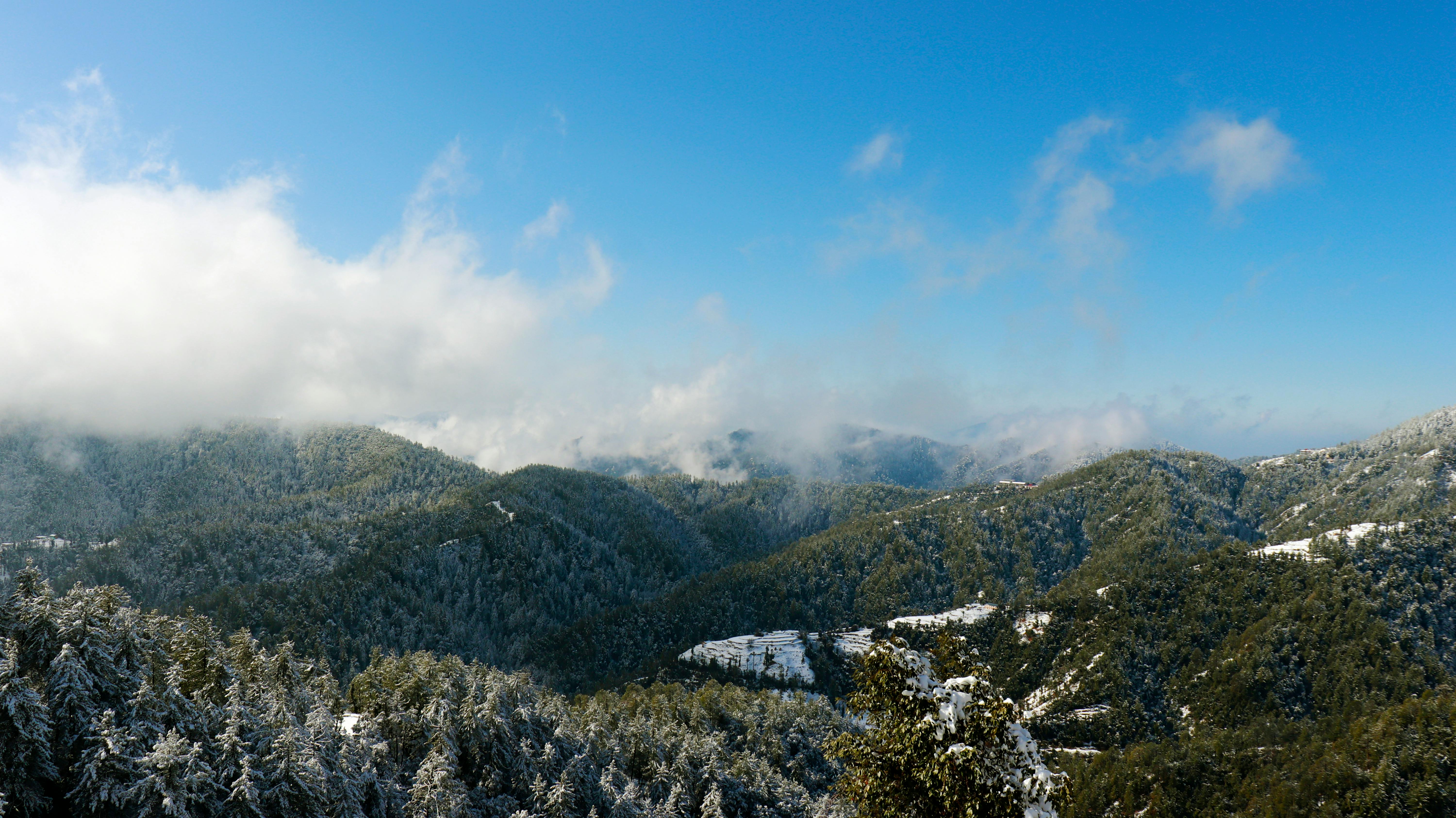 Shimla Tour