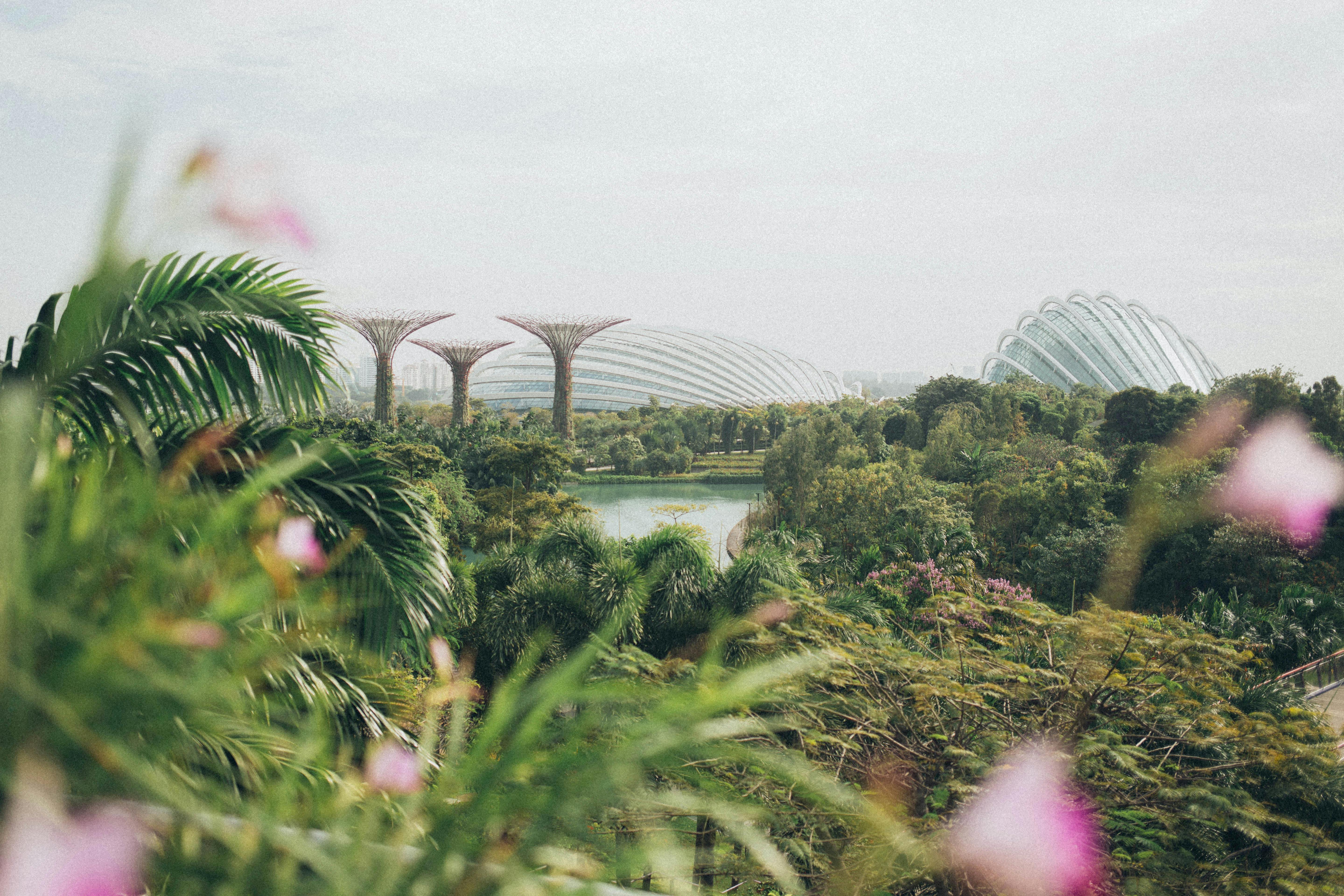 Singapore Tour