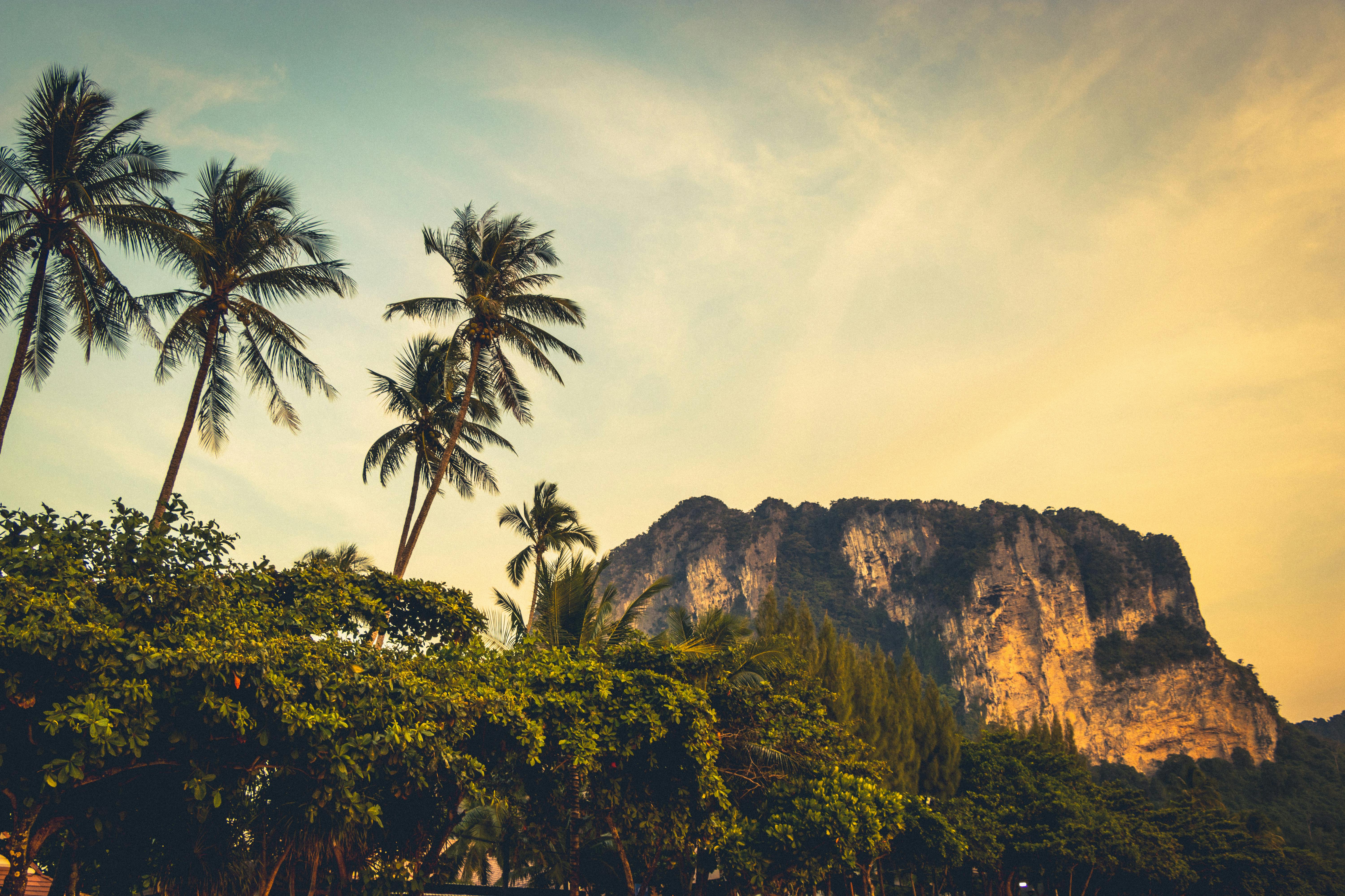 Thailand Tour