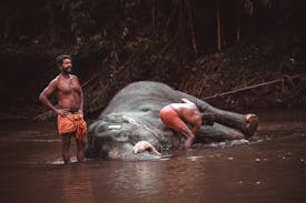 Wayanad Tour